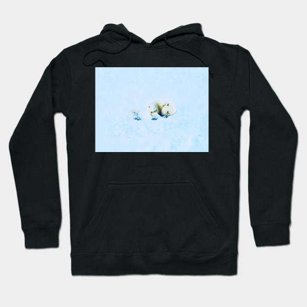 Save the arctic No. 1 Hoodie by asanaworld